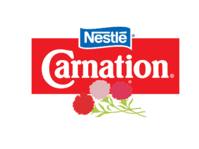 Carnation