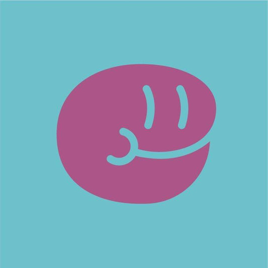 Spanish Licorice Sweets 70 GR - Sweet Joint